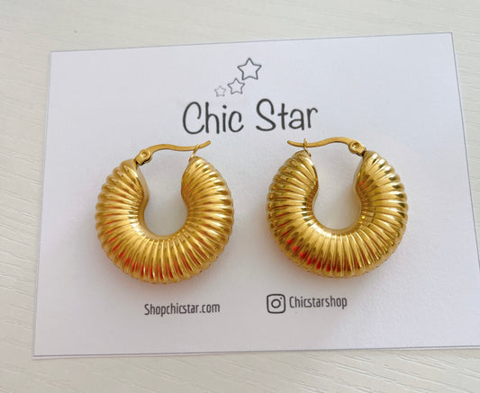 Chunky Earrings